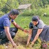 75 වන නිදහස් දින සමරු උළෙල